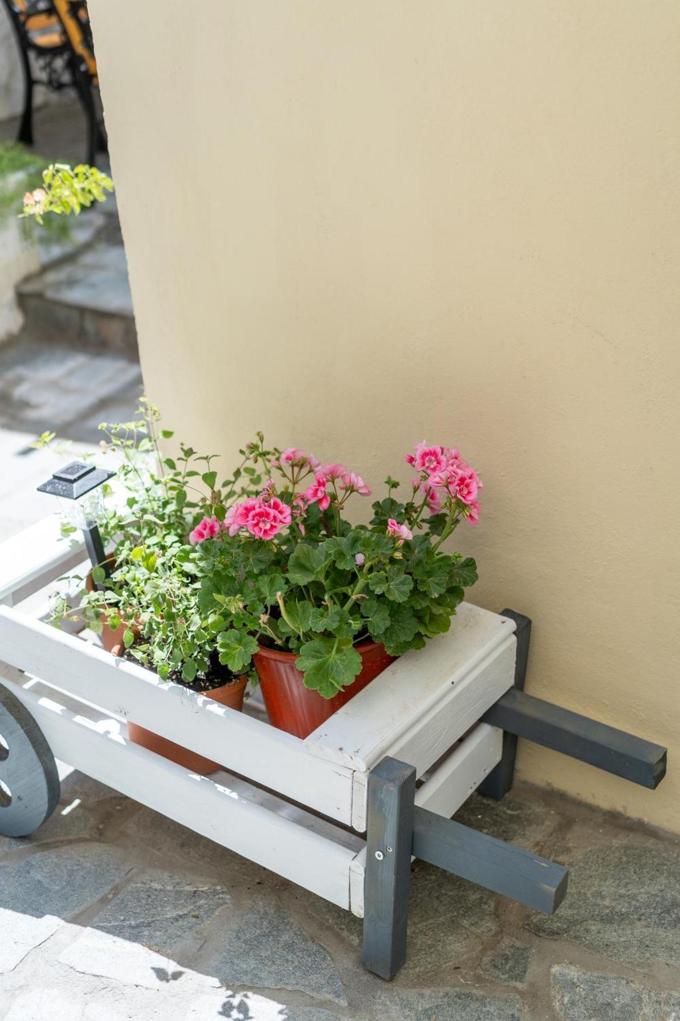 Spacious Home With Yard, Mytilene Lesvos Exterior photo